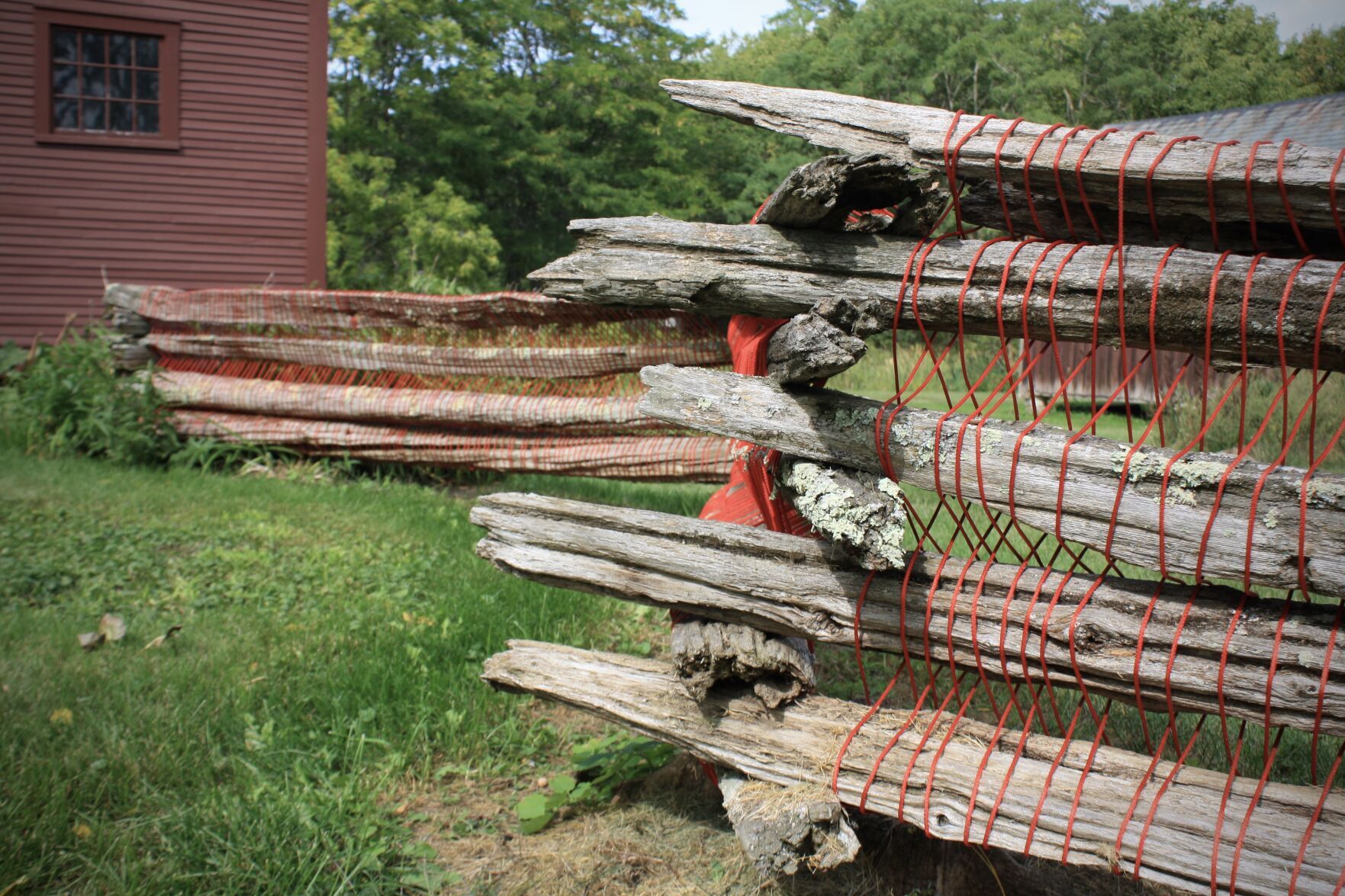 Carol MacDonald Fence